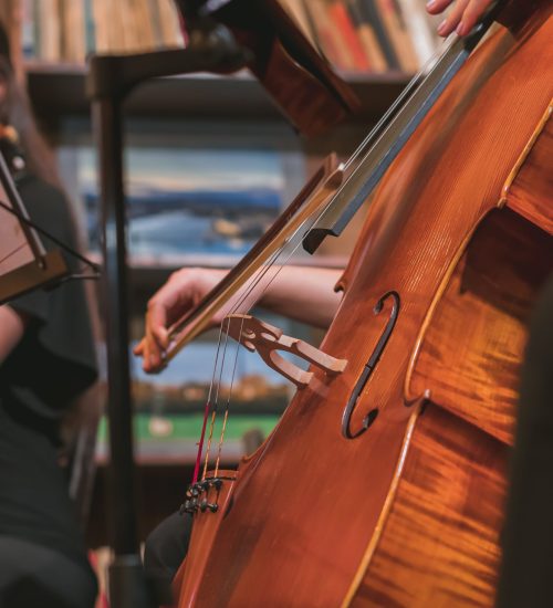 Vertical shot of a musician playing the violin in an orchestra A vertical shot of a musician playing the violin in an orchestra